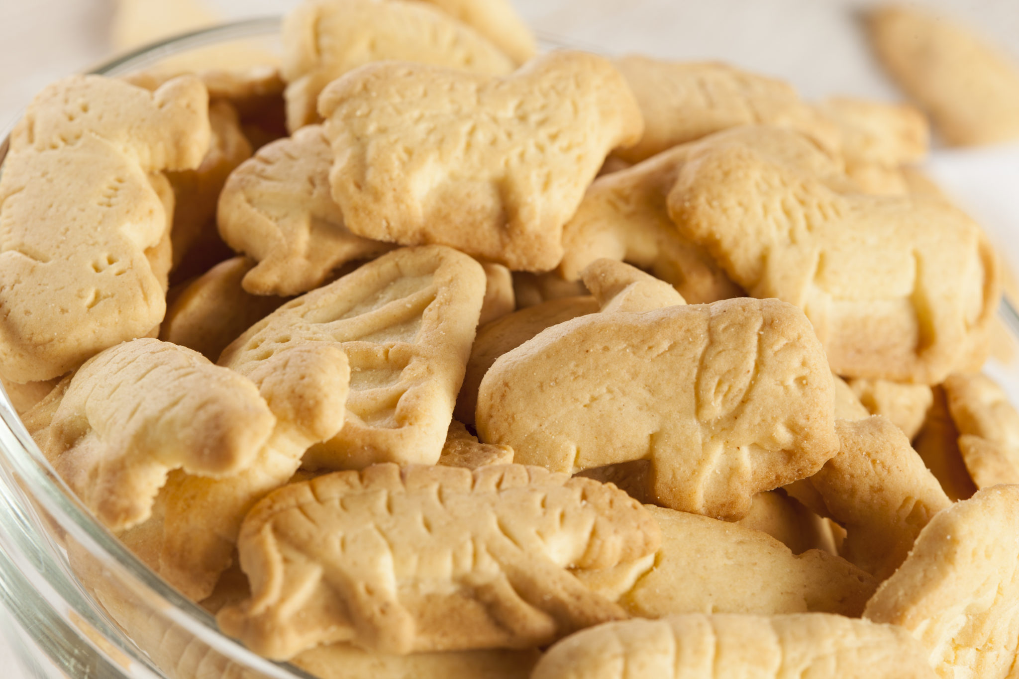 Crunchy Lemon Animal Cracker Cookies Crunchy Lemon Animal Cracker Cookies on a Background